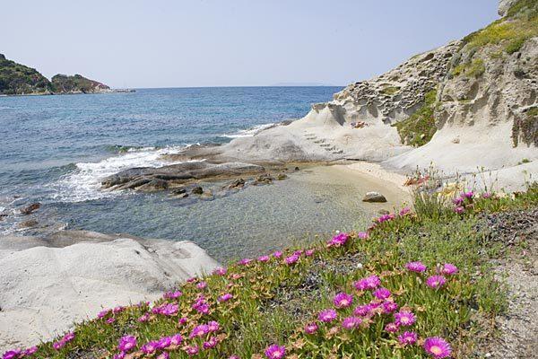 B & B Summer مارشيانا المظهر الخارجي الصورة